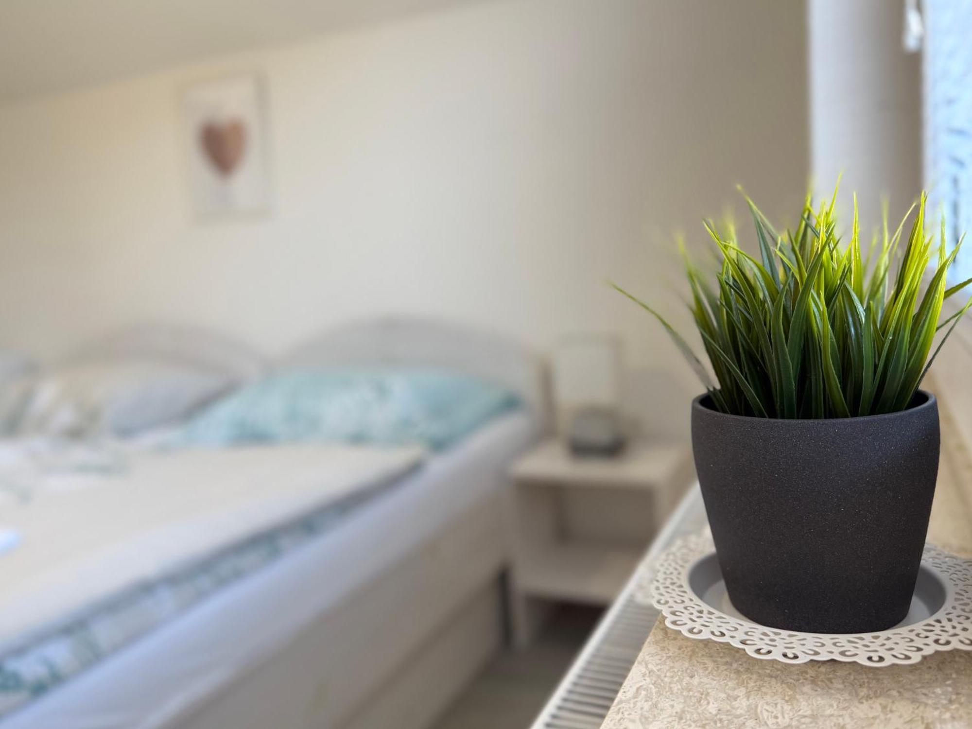 Guest House Kobal Spodnje Gorje Zewnętrze zdjęcie