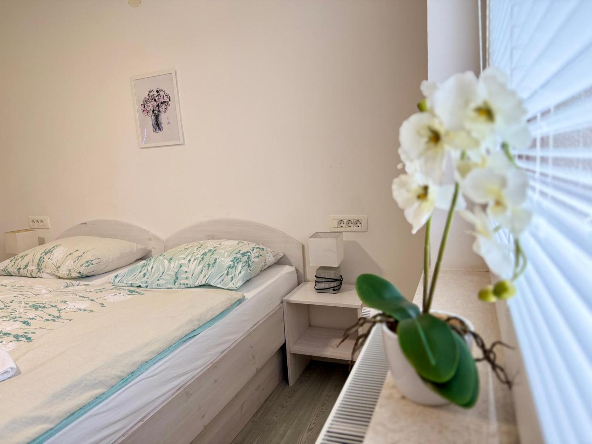 Guest House Kobal Spodnje Gorje Zewnętrze zdjęcie