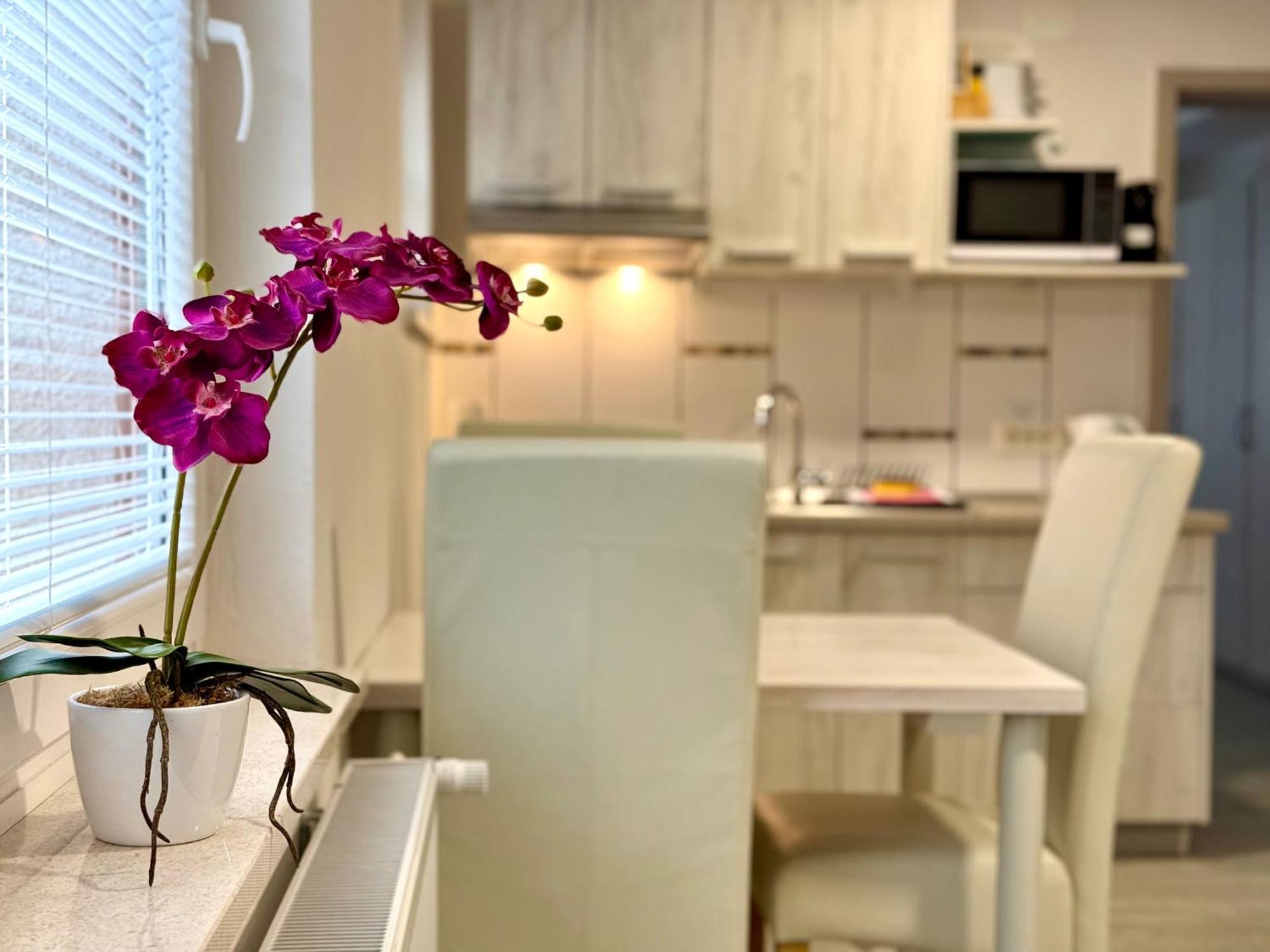 Guest House Kobal Spodnje Gorje Zewnętrze zdjęcie